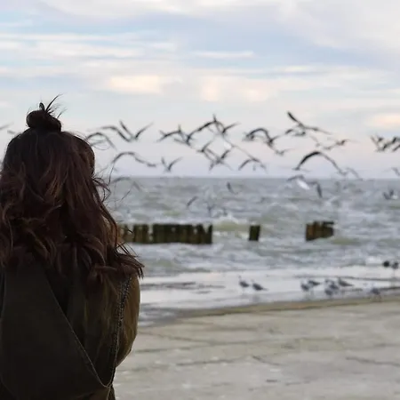 White Pearl 0.06 Lägenhet