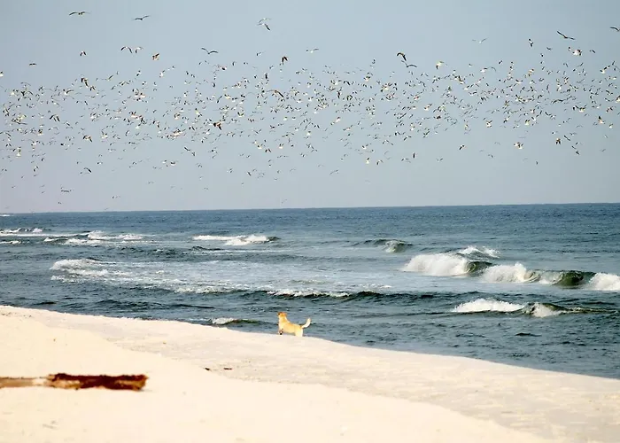 Apartamento White Pearl 0.06 *